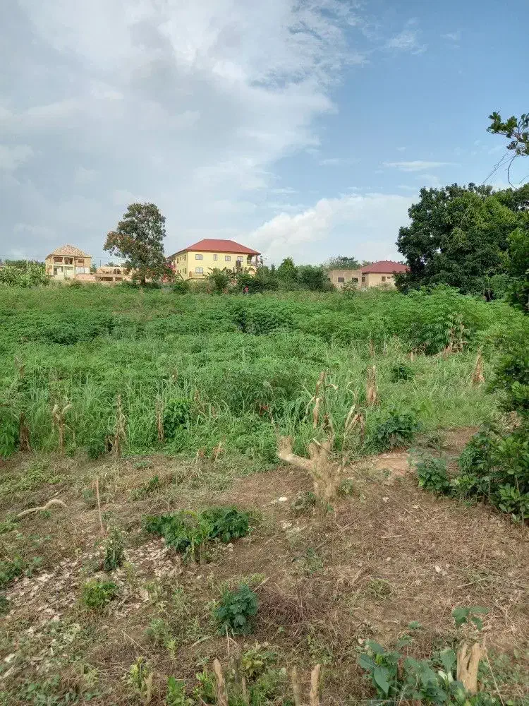 ویلا باغ،زمین کشاورزی و باغ انار|فروش زمین و ملک کلنگی|گرگان, |دیوار