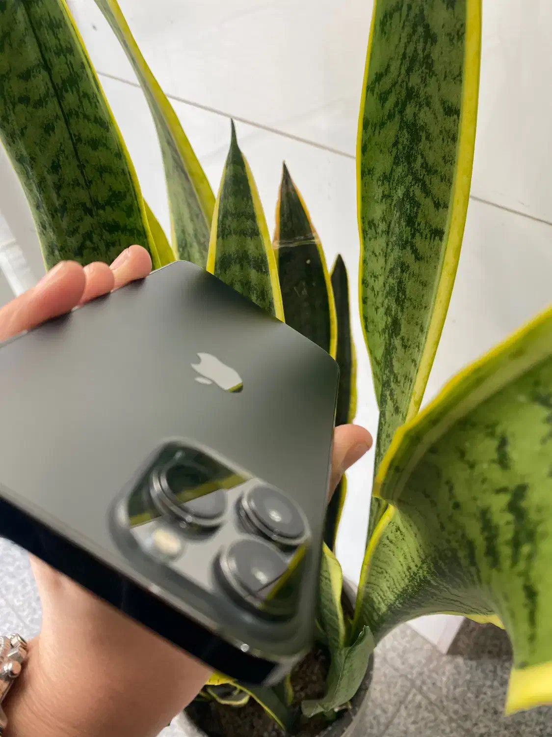 IPHONE 13Promax|موبایل|اردبیل, |دیوار