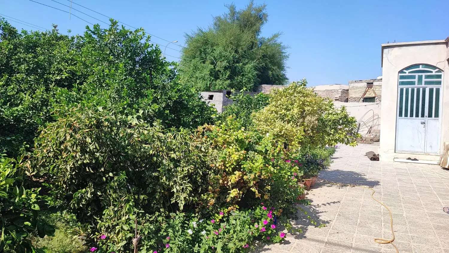 اجاره منزل مسکونی|اجارهٔ خانه و ویلا|جیرفت, |دیوار