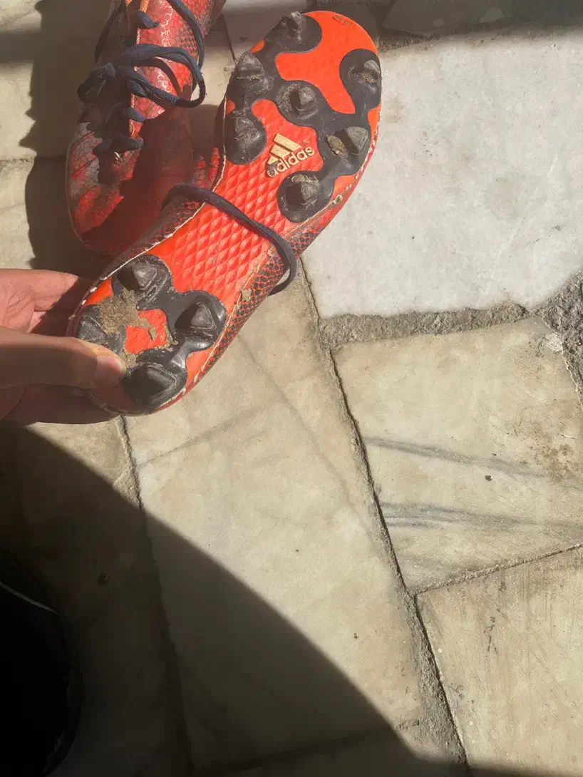 کفش فوتسال و فوتبال|کیف، کفش، کمربند|قروه, |دیوار