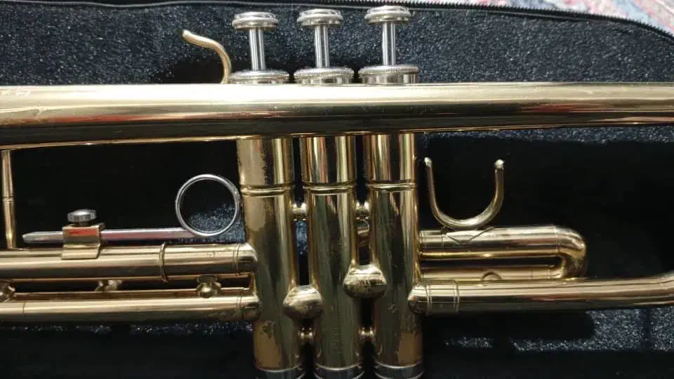 ترومپت|سازهای بادی|کرمان, |دیوار