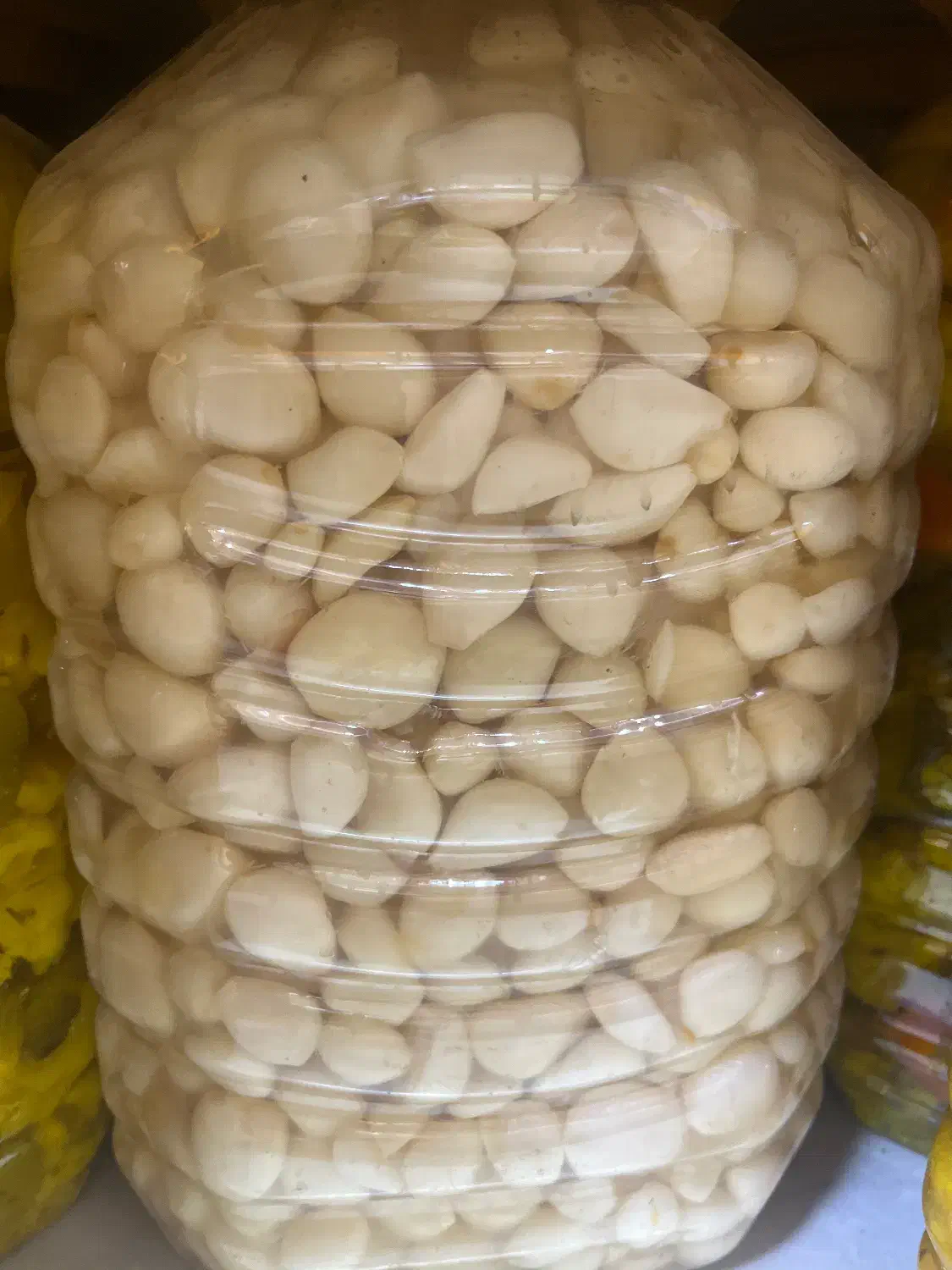 سیر صدفی و گل سیر|خوردنی و آشامیدنی|قم, لسانی|دیوار