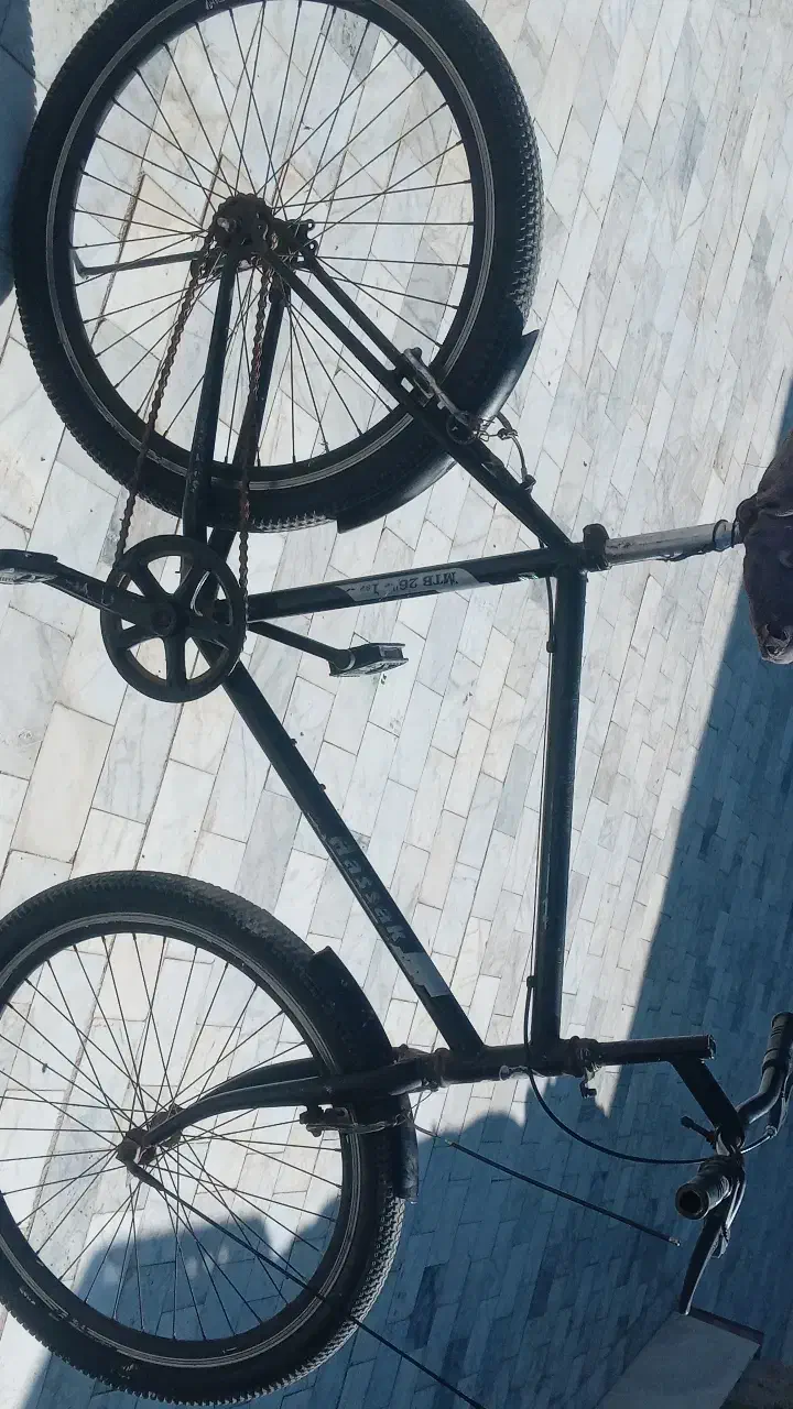 دوچرخه۲۶آساک|دوچرخه، اسکیت، اسکوتر|نیمروز, |دیوار