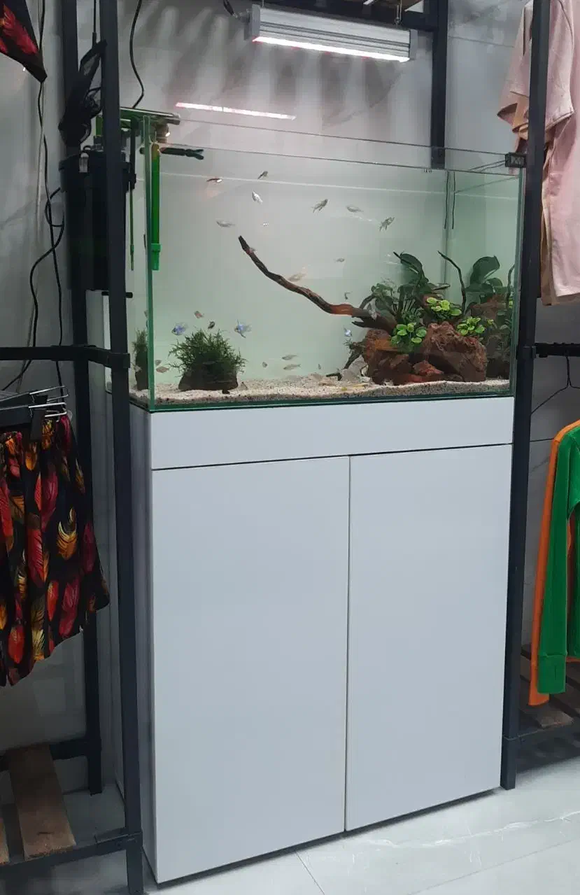 آکواریوم ریملس ۱۰ میل در حد نو|ماهی|شهریار, شهرک بهاران (ویره)|دیوار