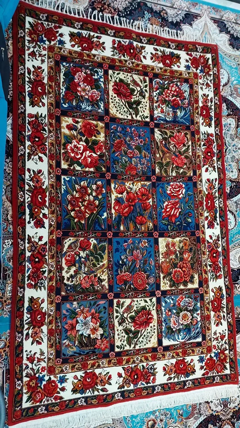 قالی دست بافت 6متری طرح شیدایی|فرش|نوشهر, |دیوار