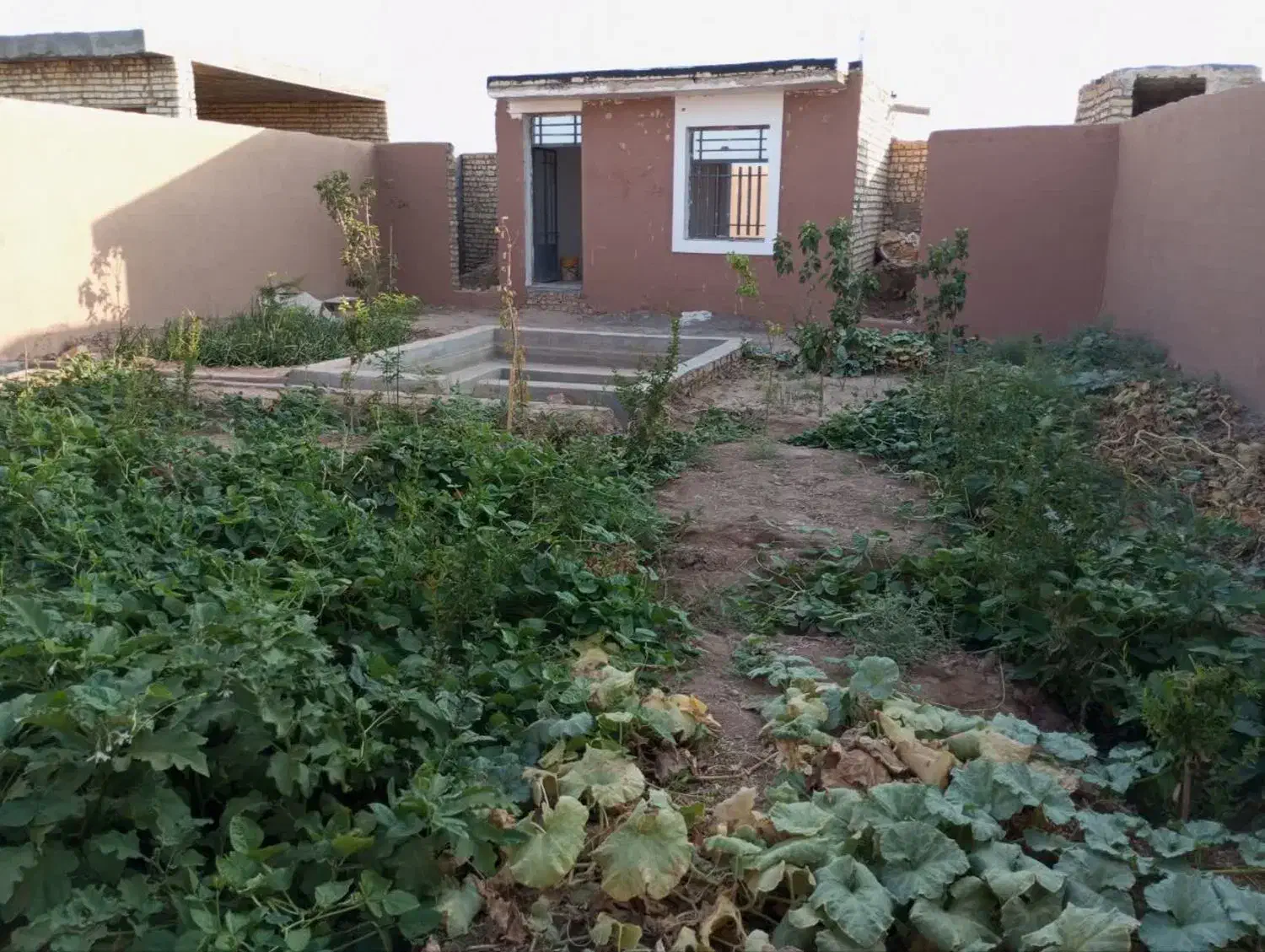 فروش خانه باغ نگارستان راوند|فروش خانه و ویلا|کاشان, راوند|دیوار