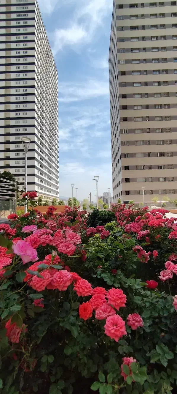 رهن و اجاره واحد90 متری برج ارکیده ۲ شهرک چیتگر|اجارهٔ آپارتمان|تهران, شهرک چیتگر|دیوار