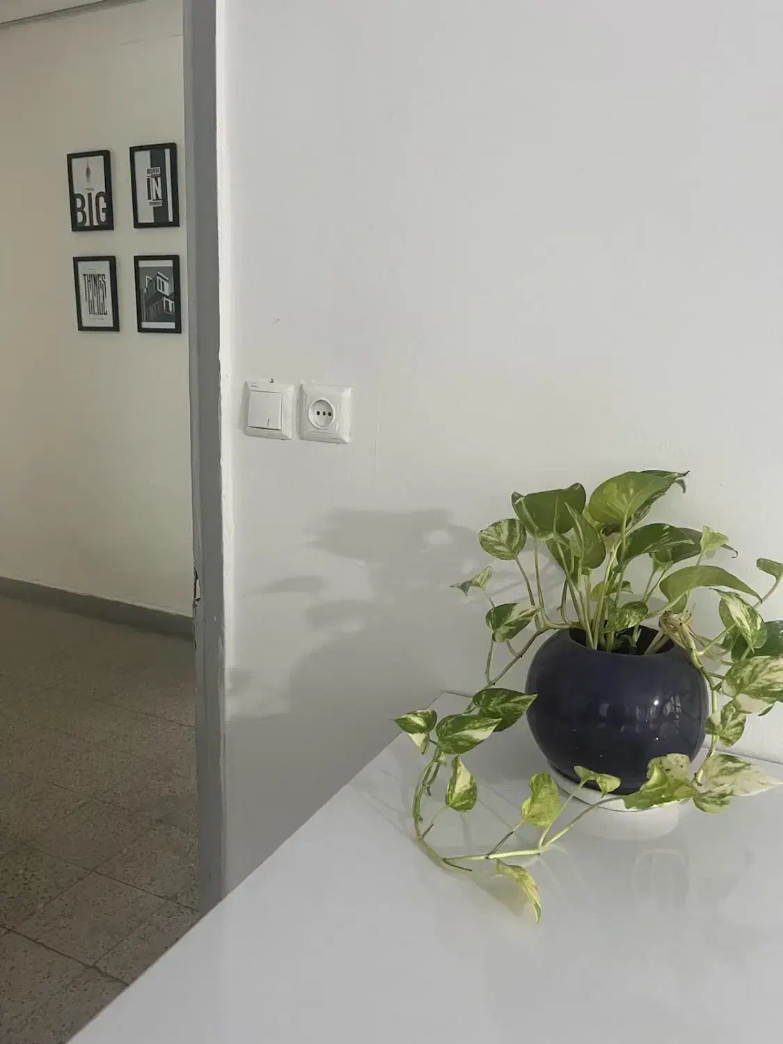 اجاره ی دفتر کار کامل|اجارهٔ دفتر کار، اتاق اداری، مطب|ساری, |دیوار