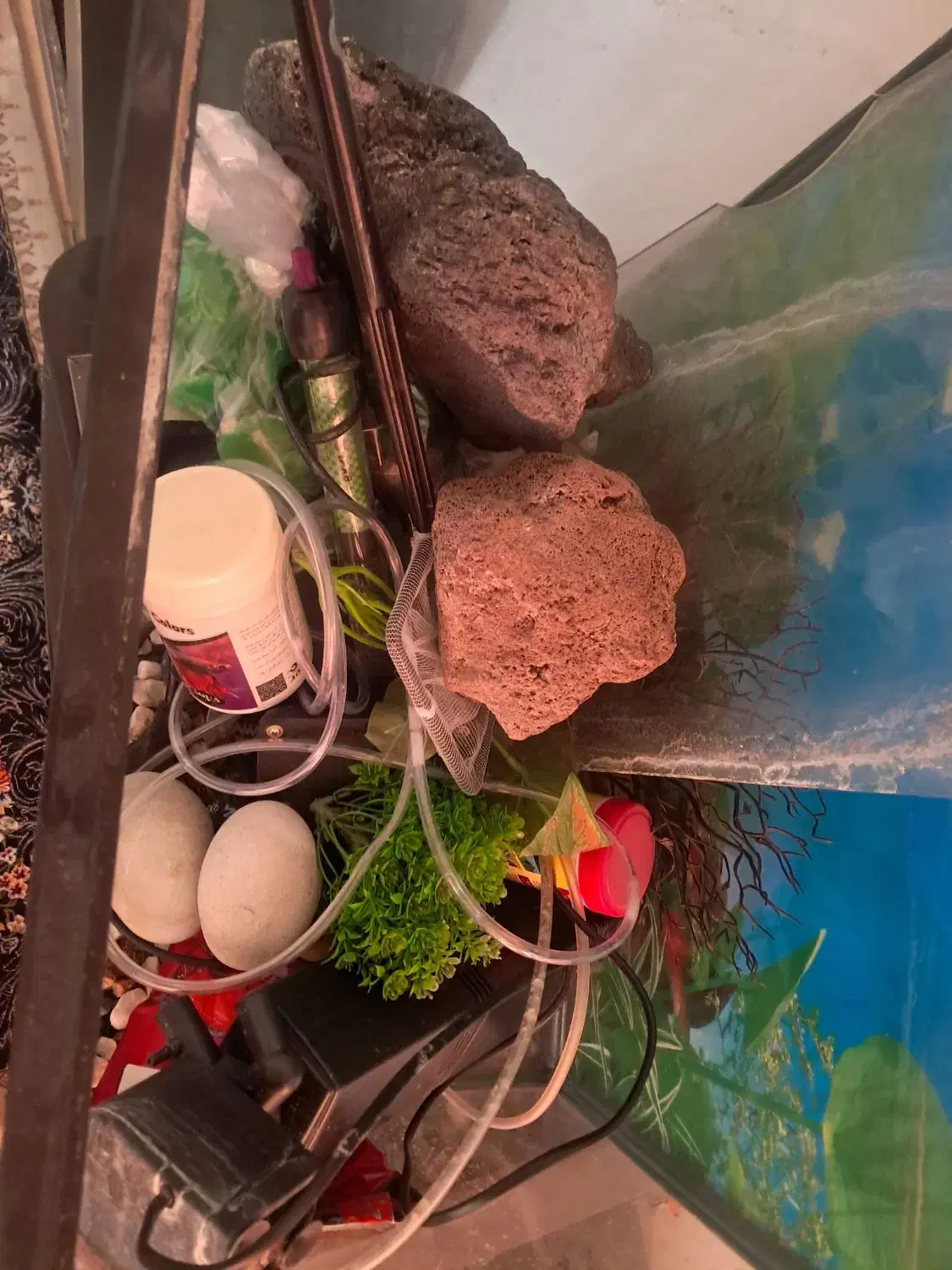 آکواریوم شیشه خم با تمام وسایل مورد نیاز و پایه|ماهی|کرج, باغستان|دیوار