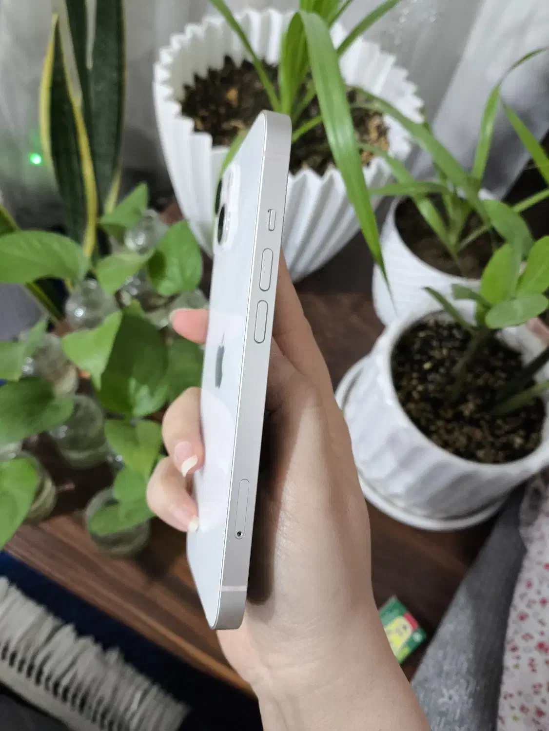 آیفون 13نرمال سلامت باتری 99|موبایل|خرم‌آباد, |دیوار