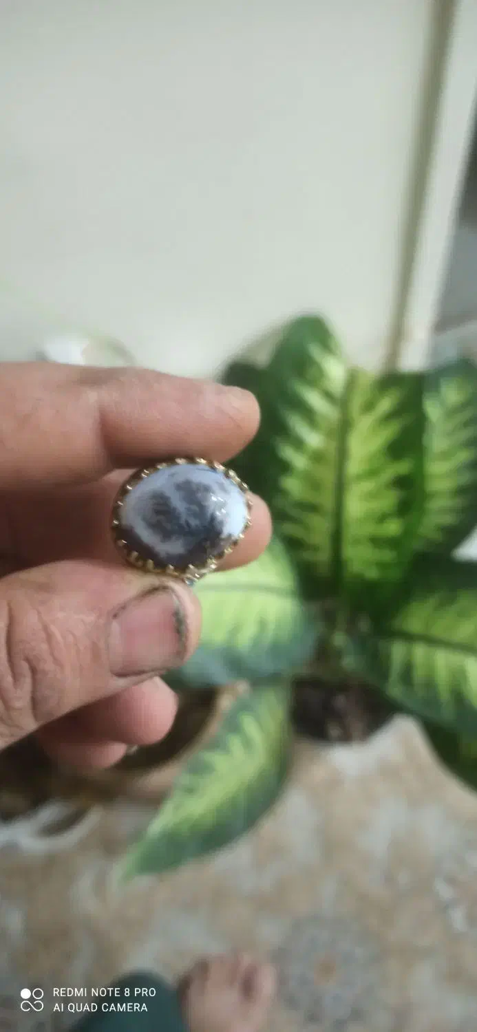 انگشتر شجر تک درخت|جواهرات|اهواز, کوی سعدی|دیوار