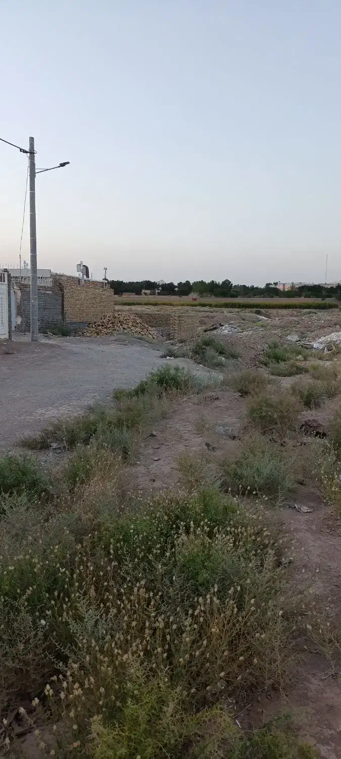 زمین واقع در امام رضا ۶۷/۱۲|فروش زمین و ملک کلنگی|تربتحیدریه, بیمارستان رازی|دیوار