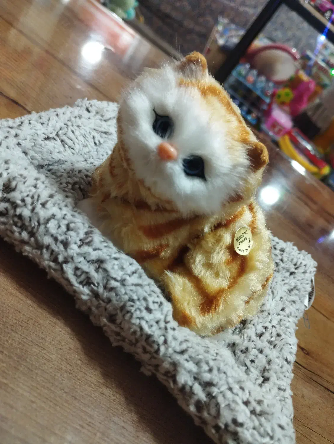 گربه ی صدا دار انواع رنگ برای تولد و انواع مناسبت|اسباببازی|مهاباد (آذربایجان غربی), |دیوار