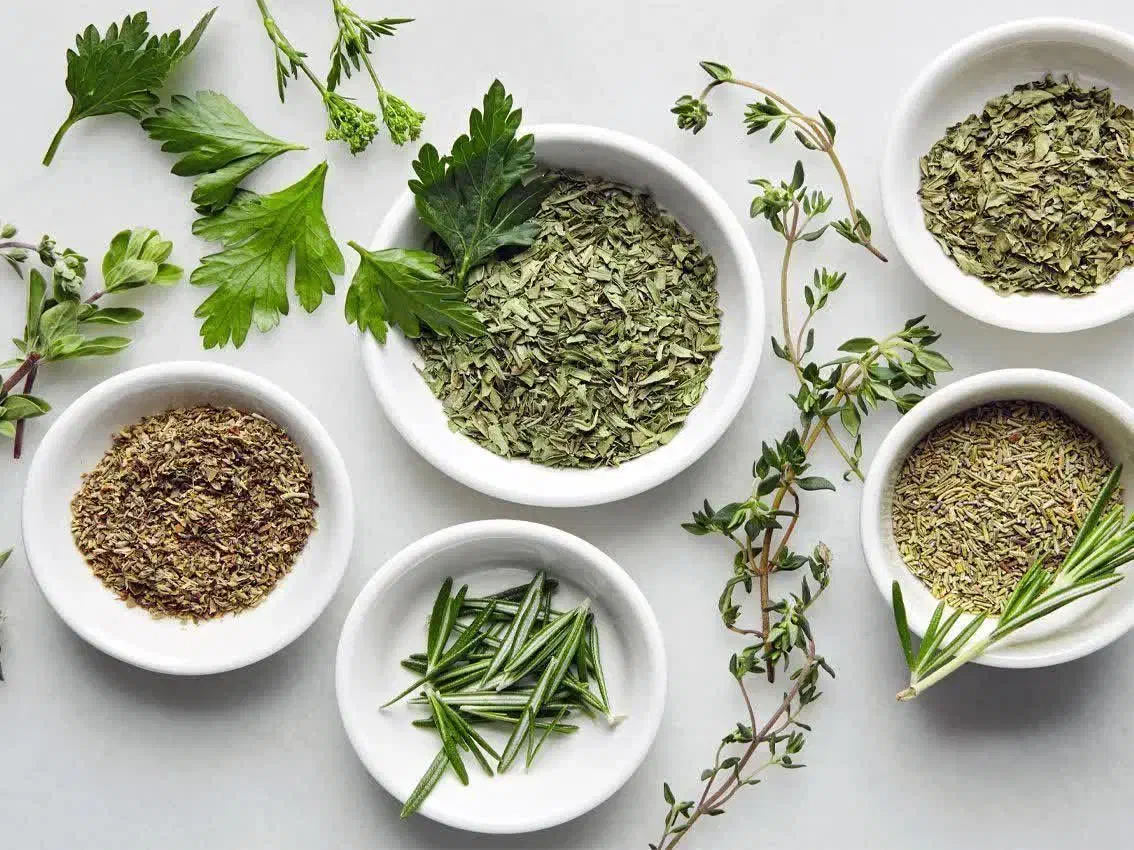 اموزش طب سنتی آنلاین رایگان|استخدام درمانی، زیبایی، بهداشتی|آشخانه, |دیوار