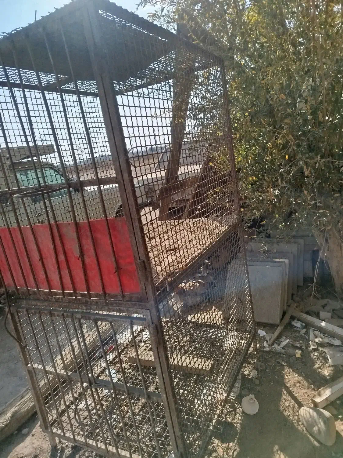 قفس دو طبقه کاملا فلزی سالم|لوازم جانبی حیوانات|قرچک, میرزائی جنوبی|دیوار