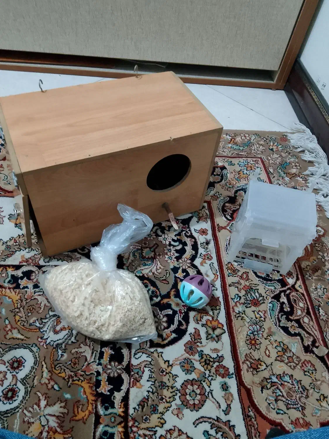 لانه پرنده|پرنده|تهران, بهمن یار|دیوار