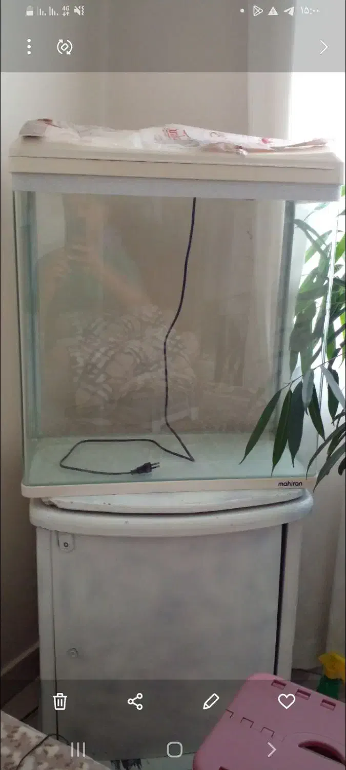 آکواریوم ماهیران|ماهی|تهران, مشیریه|دیوار