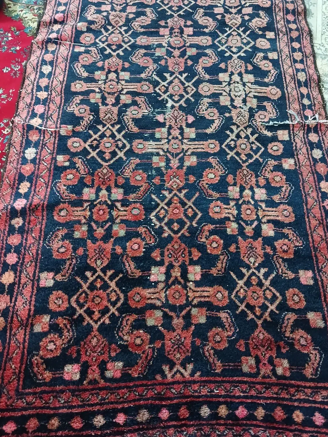 قالی قدیمی|فرش|دورود, |دیوار