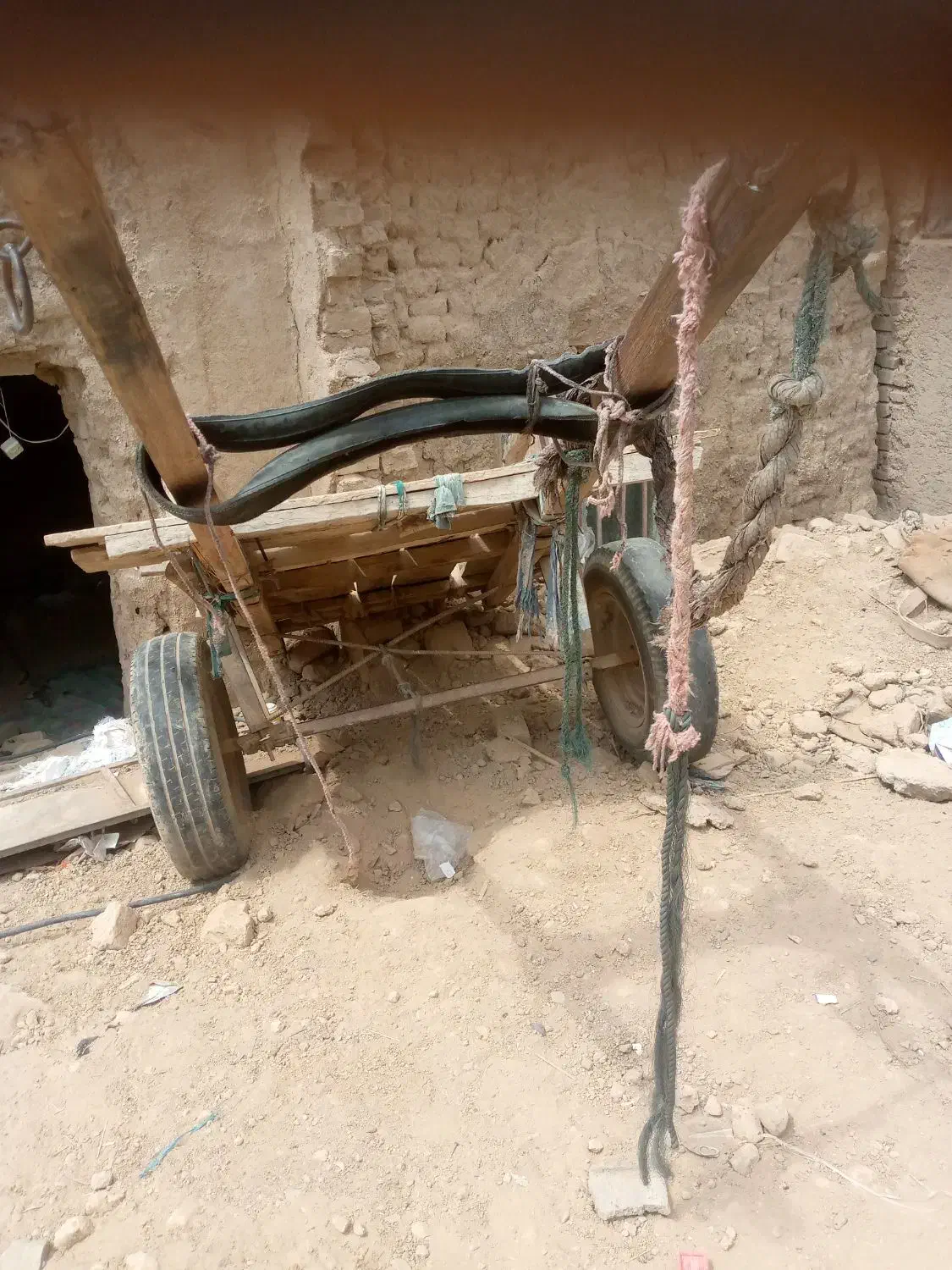 مزرعه|حیوانات مزرعه|سیب و سوران, |دیوار