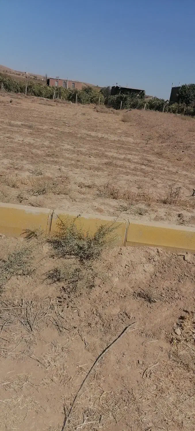 زمین در نازلو|فروش زمین و ملک کلنگی|نوشین شهر, |دیوار