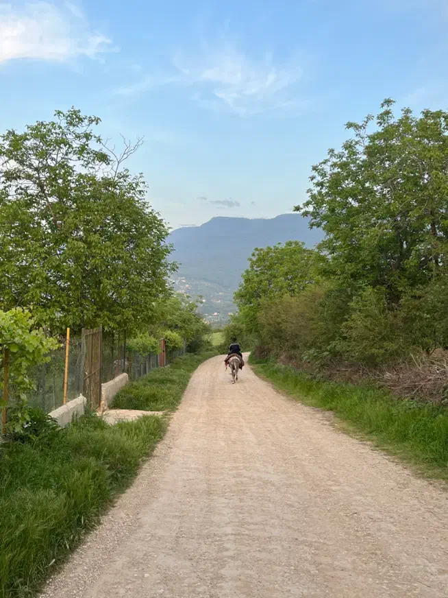 فروش زمین در خلیلشهر|فروش زمین و ملک کلنگی|خلیل شهر, |دیوار