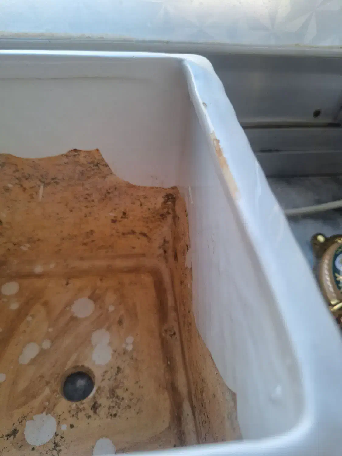 گلدان سرامیک|گل و گیاه طبیعی|مشهد, شفا|دیوار