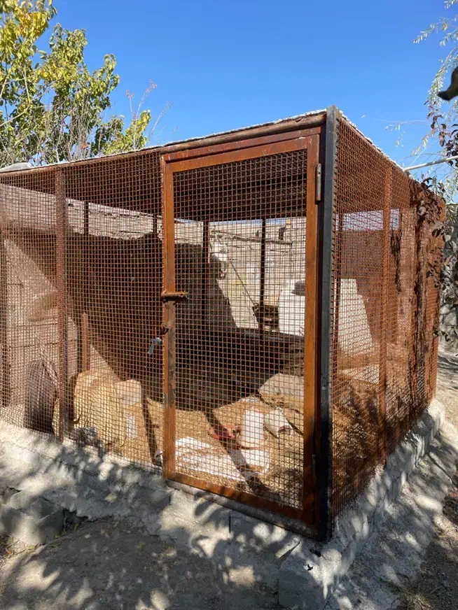 قفس بزرگ|لوازم جانبی حیوانات|ارومیه, |دیوار