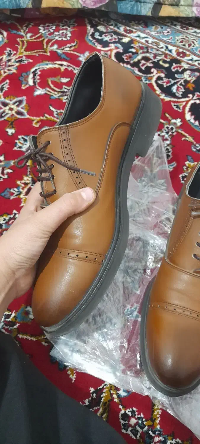 کفش مردانه|کیف، کفش، کمربند|ساوه, |دیوار