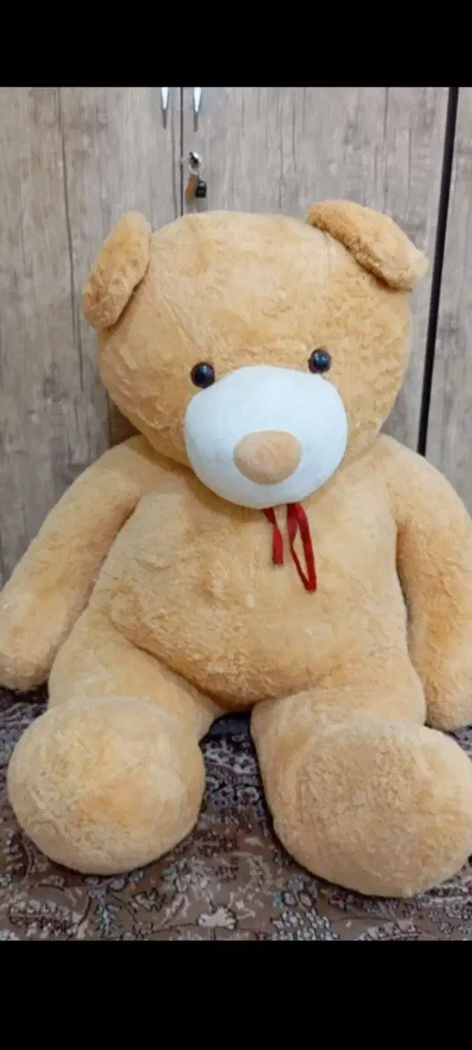 عروسک خرسی|اسباببازی|یاسوج, |دیوار
