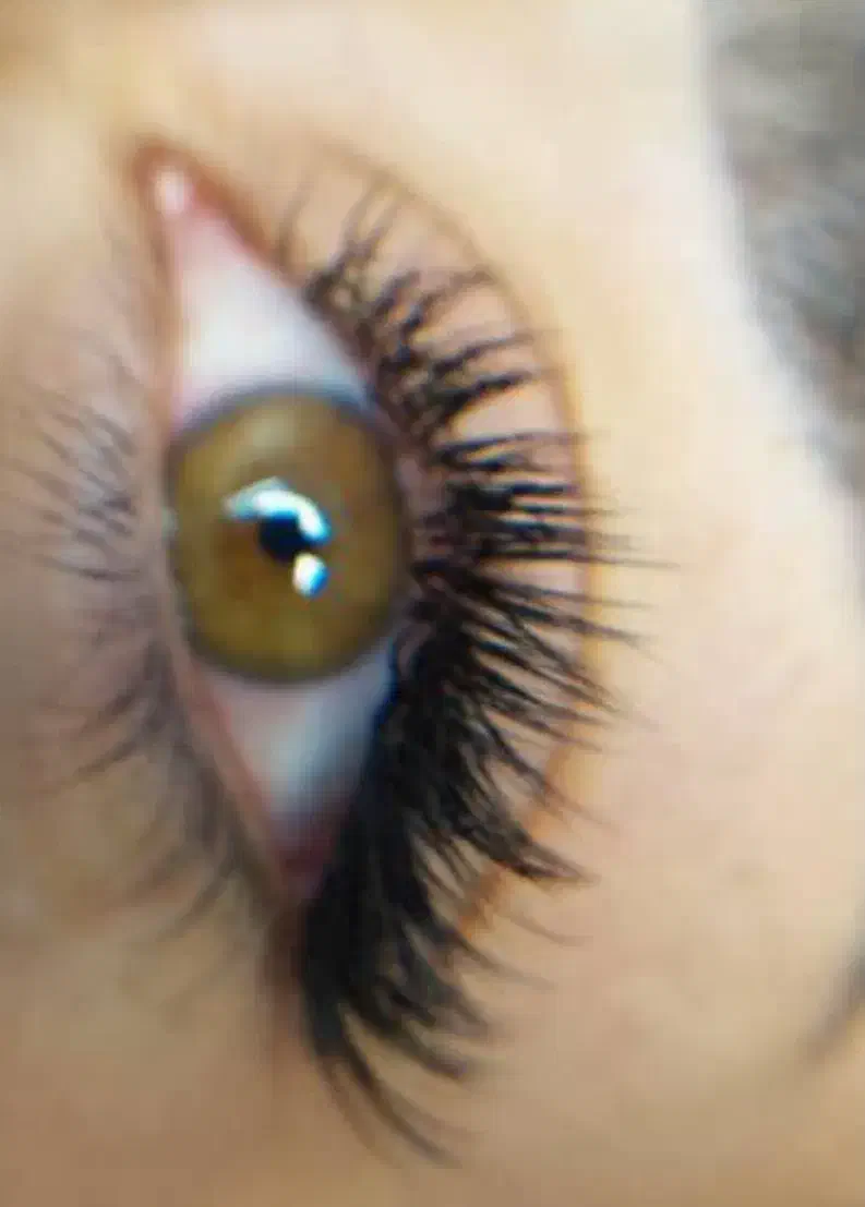 مدل رایگان اکستنشن|خدمات آرایشگری و زیبایی|داراب, |دیوار