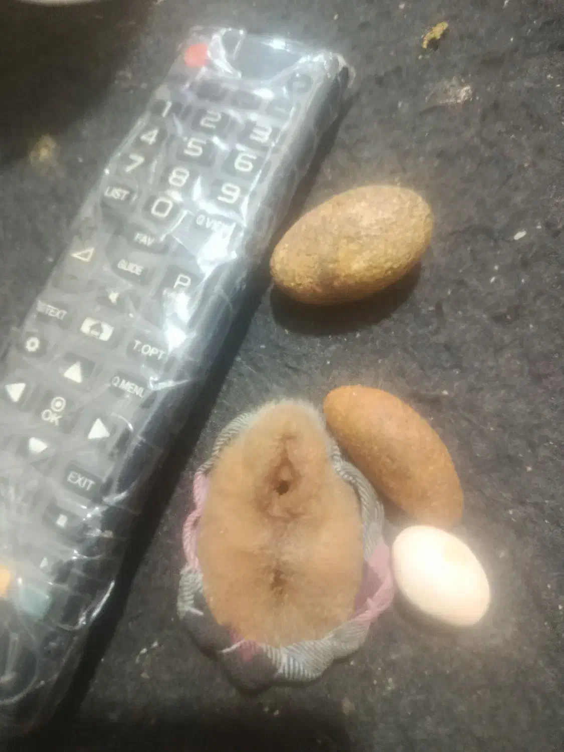 یاقوت کابلی|جواهرات|زاهدان, |دیوار