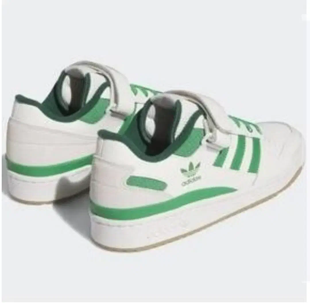 کفش ادیداس یونیسکس اصل|کیف، کفش، کمربند|پیشوا, |دیوار
