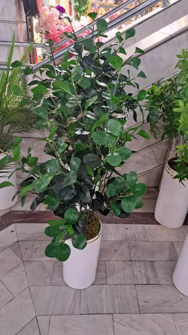 درختچه مصنوعی|گل مصنوعی|تبریز, |دیوار