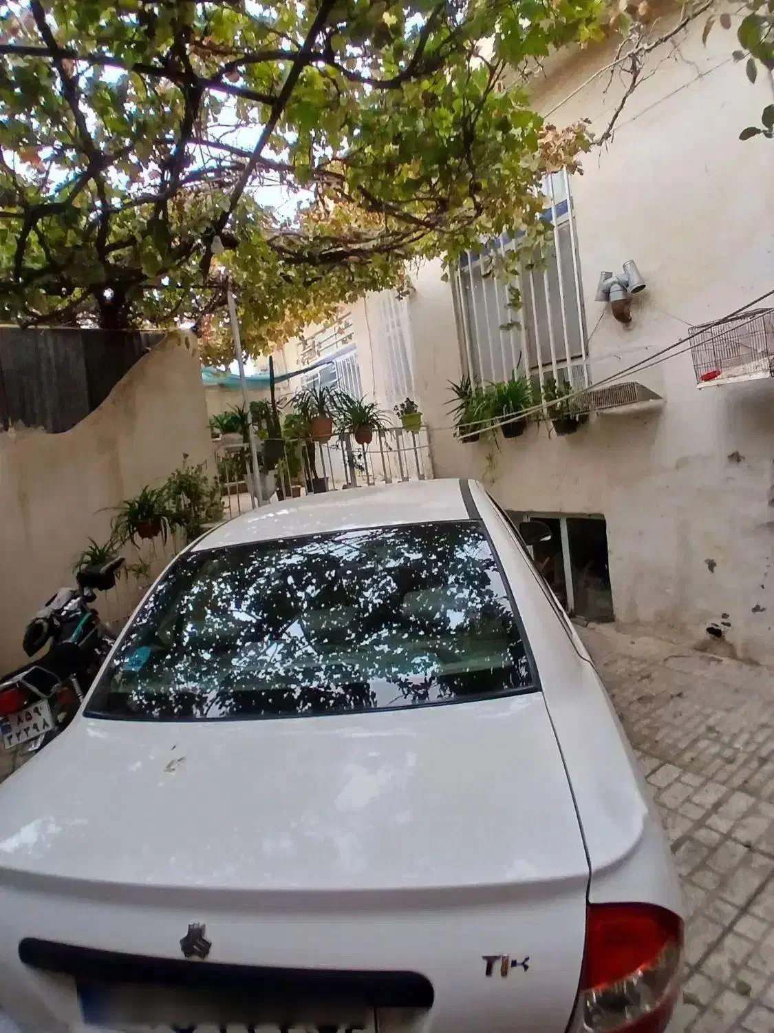 تیبا1 مدل 1400|خودرو سواری و وانت|نیشابور, خط کاشمر|دیوار