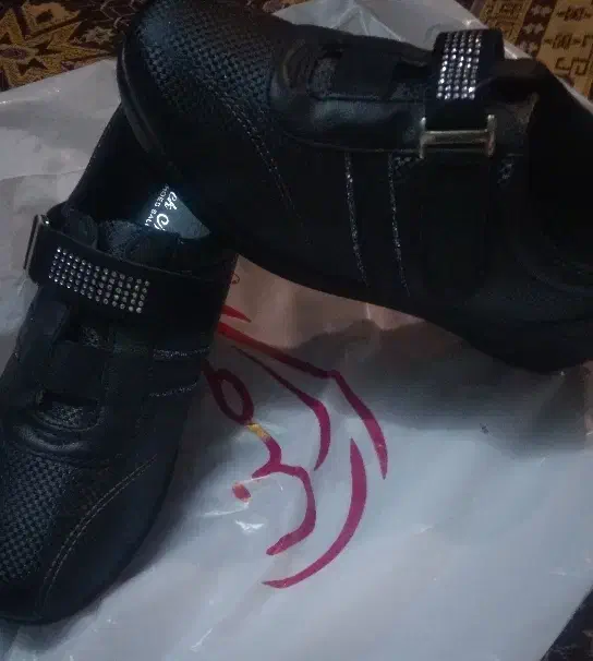 کفش|کیف، کفش، کمربند|زنجان, |دیوار