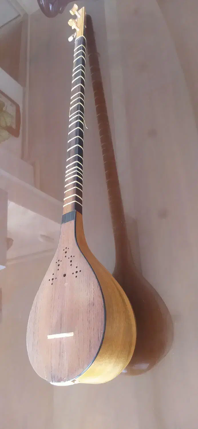 سه تار معتوفی|سازهای سنتی|همدان, |دیوار