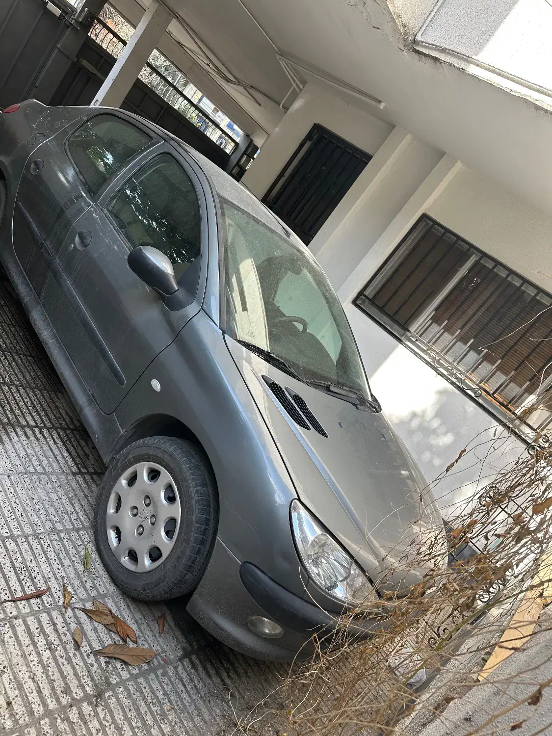 ۲۰۶sdمدل۹۵|خودرو سواری و وانت|گرگان, |دیوار