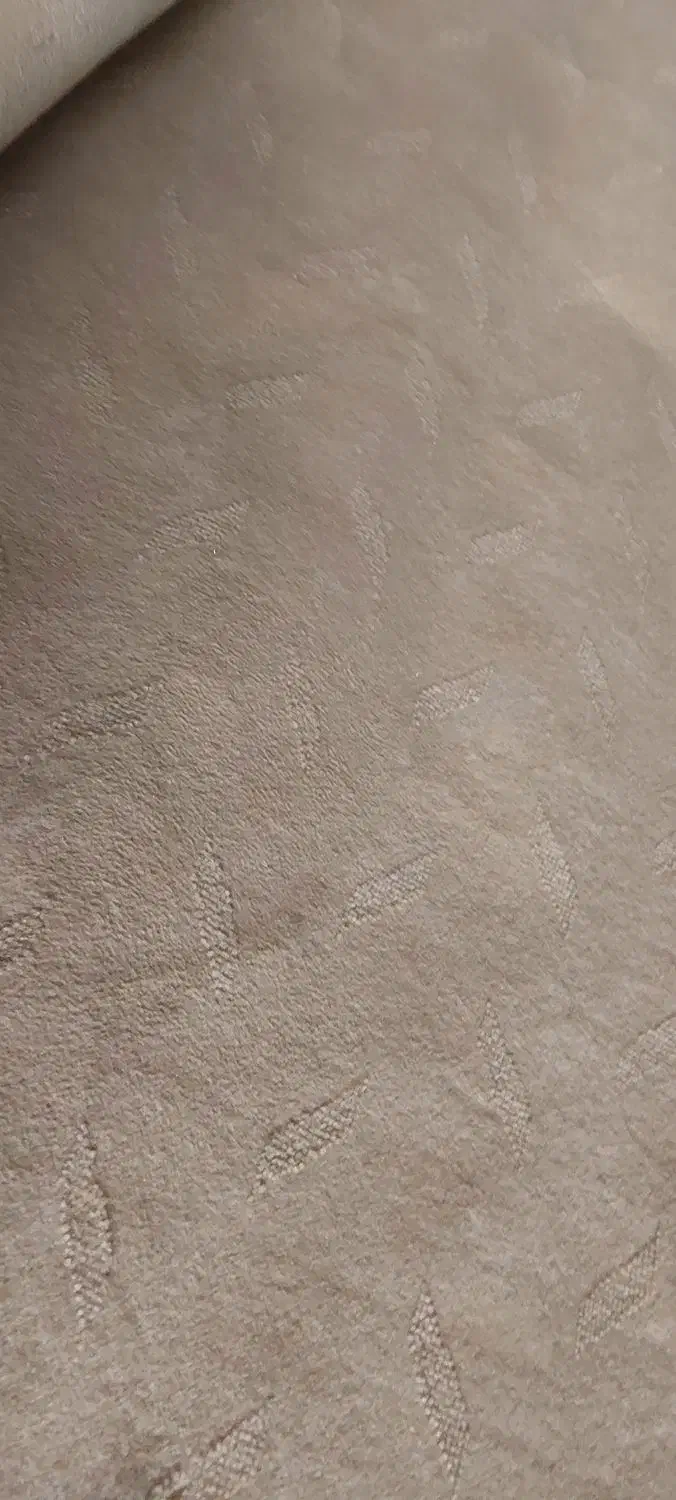 فروش موکت بسیار نو وتمیز|موکت|بجنورد, |دیوار