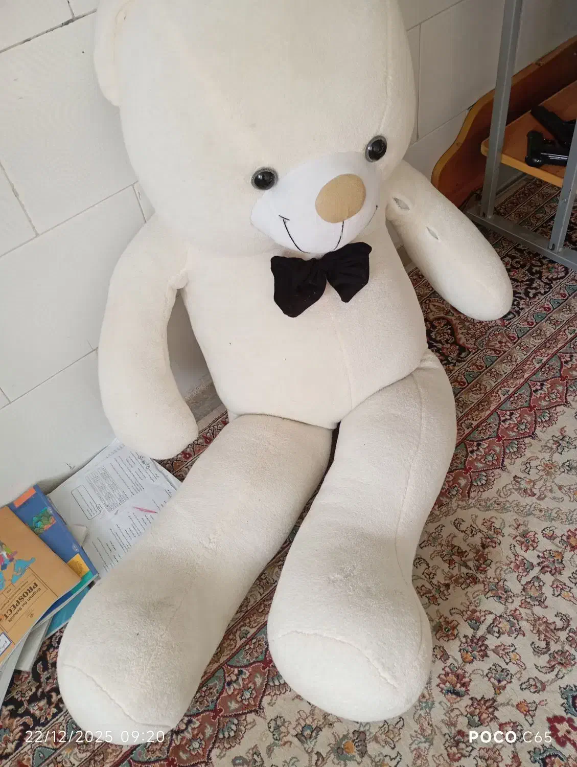 خرس بزرگ|اسباب‌بازی بچه|تربت‌حیدریه, باغ سلطانی|دیوار