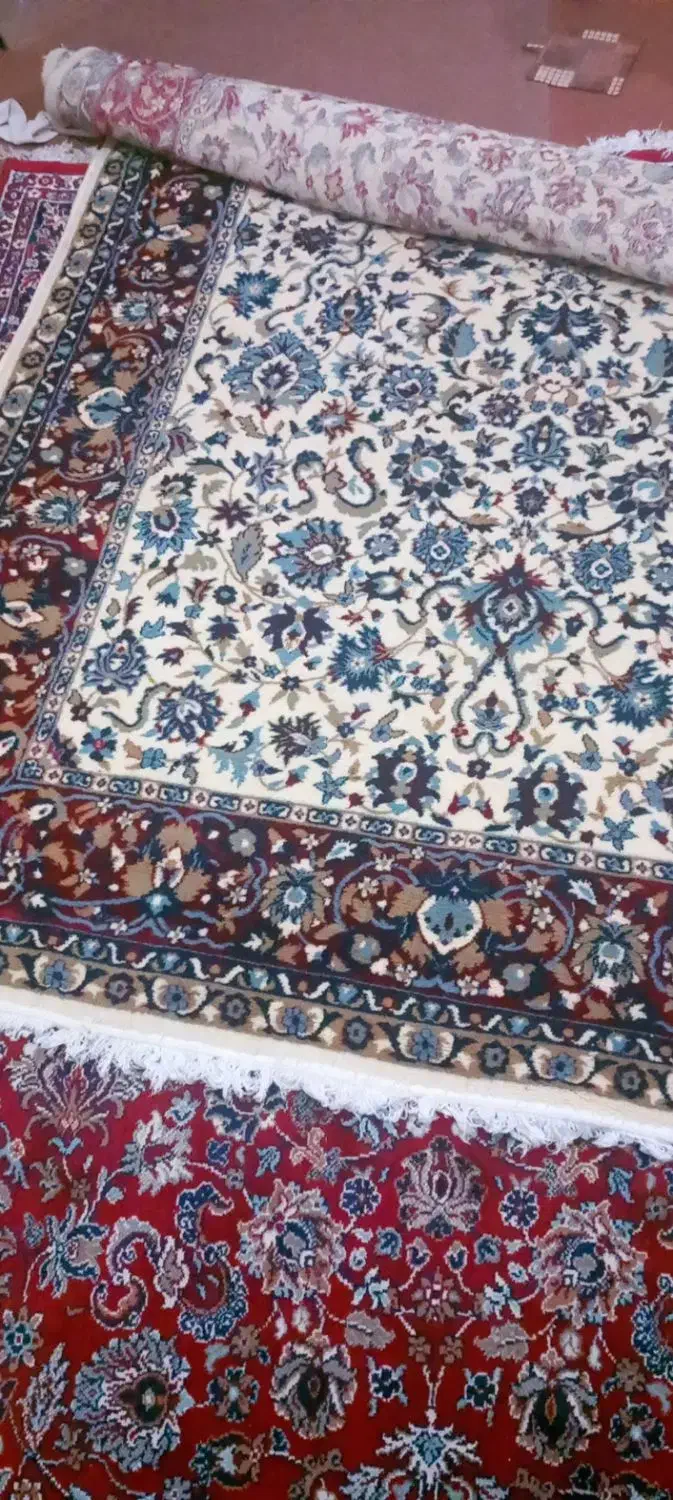 ۶متری|فرش|زنجان, |دیوار