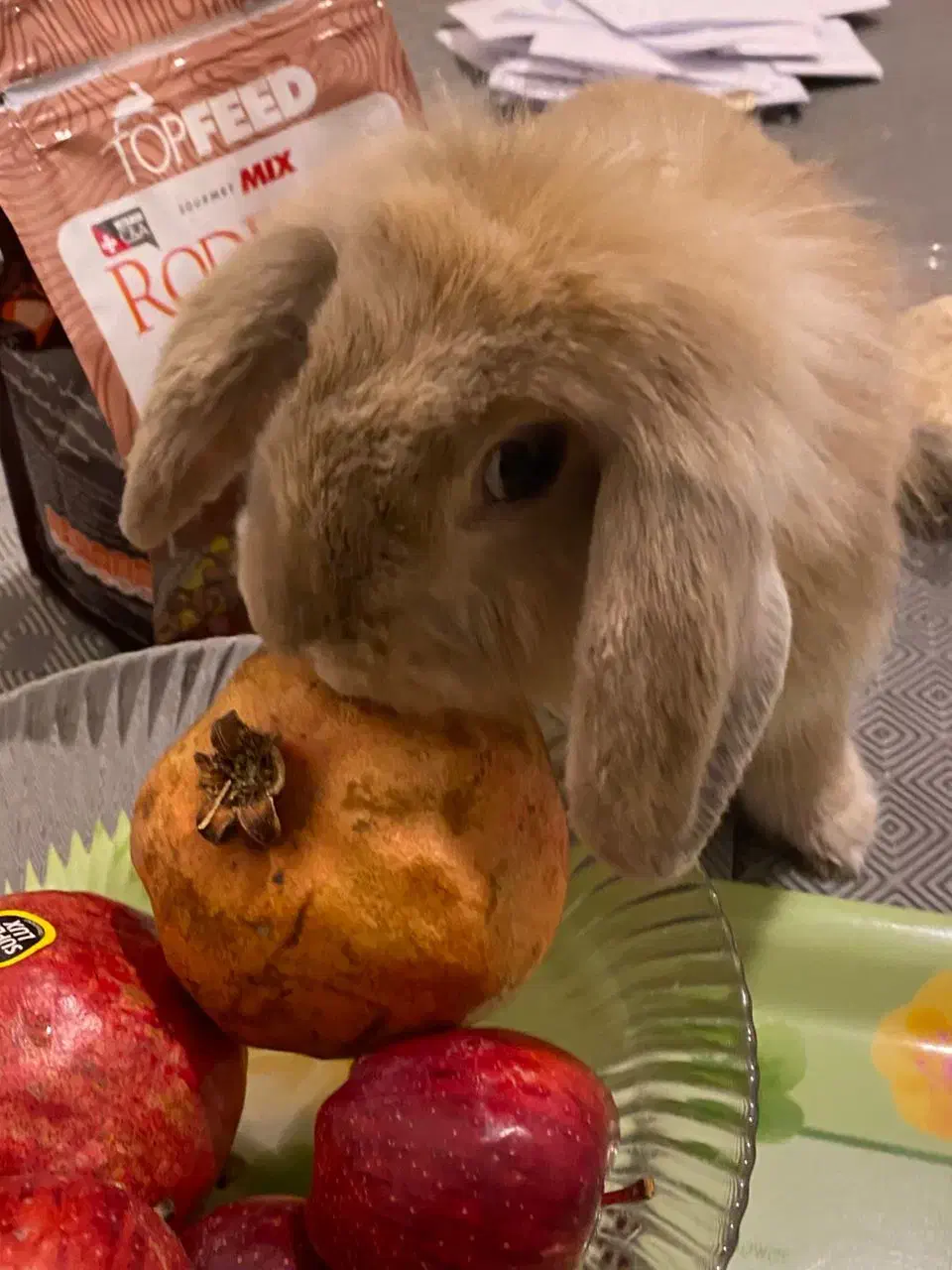 واگذاری لوپ نر|موش و خرگوش|تهران, آبشار|دیوار