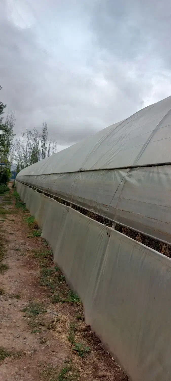 فروش سازه گلخانه|مصالح و تجهیزات ساختمان|یامچی, |دیوار