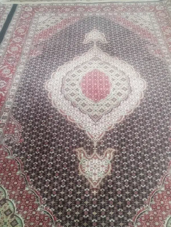 فرش ماهی|فرش|ارومیه, |دیوار