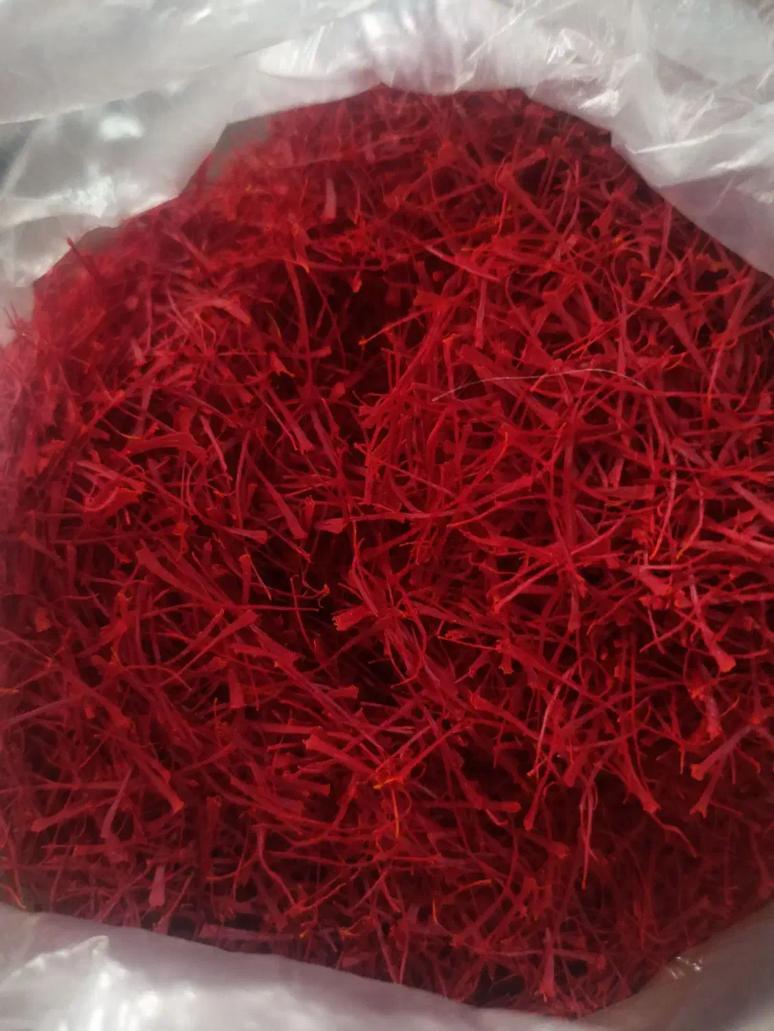 فروش زعفران نگین پرسی|عمده‌فروشی|تربت‌حیدریه, آغوی|دیوار