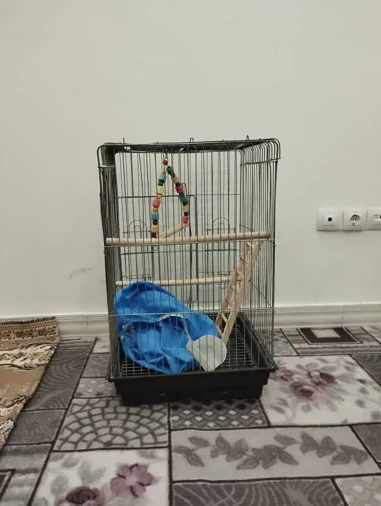 قفس ۱۰۳۳|لوازم جانبی حیوانات|اشتهارد, |دیوار