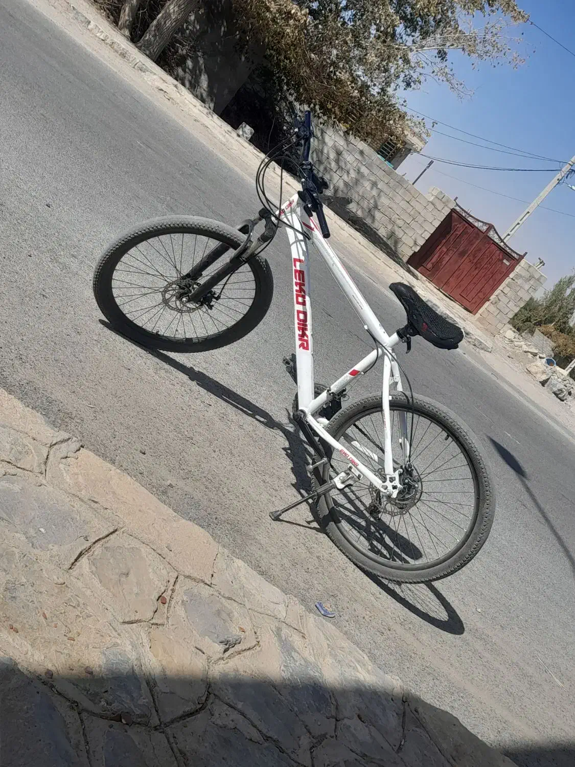 دوچرخه۲۴ دندای|دوچرخه، اسکیت، اسکوتر|اسفندقه, |دیوار