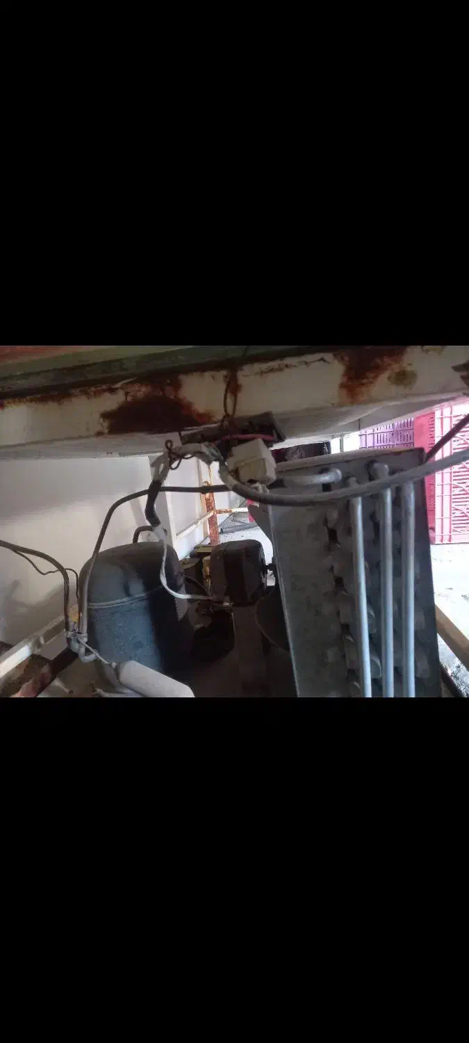 اکواریوم ماهی|ماهی|کرمانشاه, |دیوار