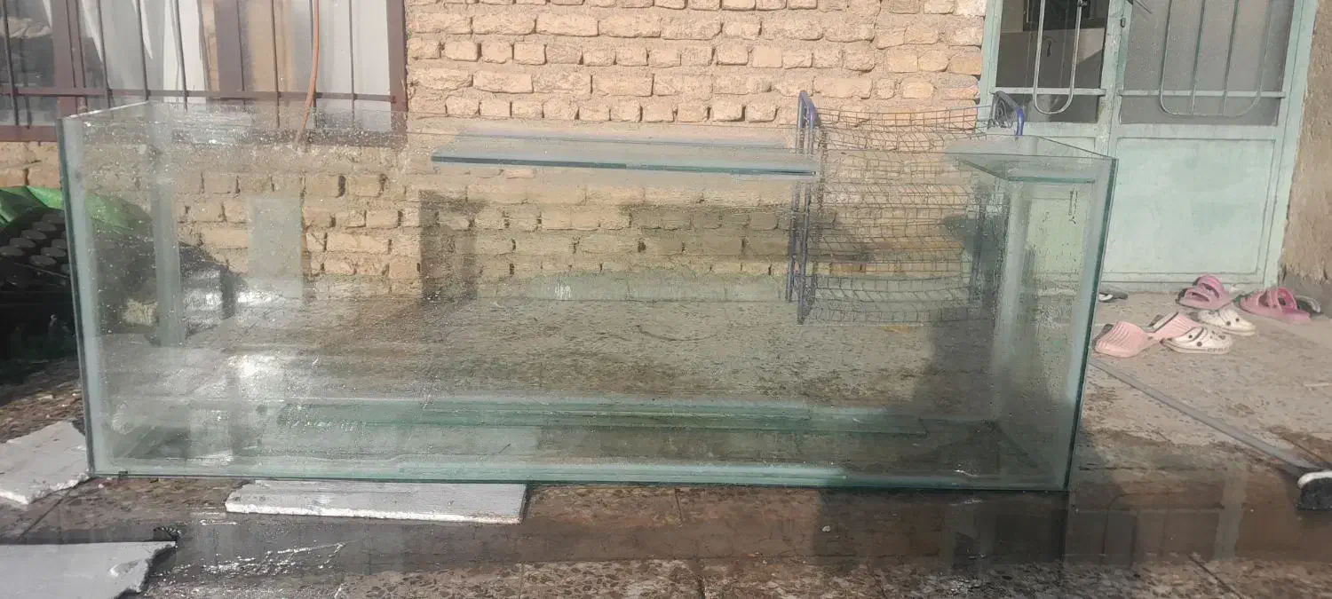 آکواریم بزرگ با شیشه10میل سکوریت|ماهی|پاکدشت, پاکدشت (مامازند)|دیوار