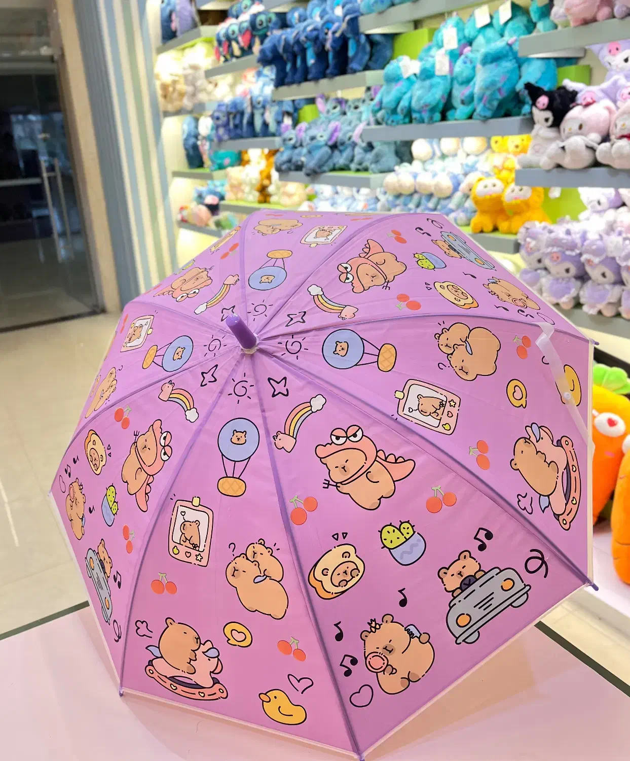 چتر|زیورآلات و اکسسوری|مشهد, عیدگاه|دیوار