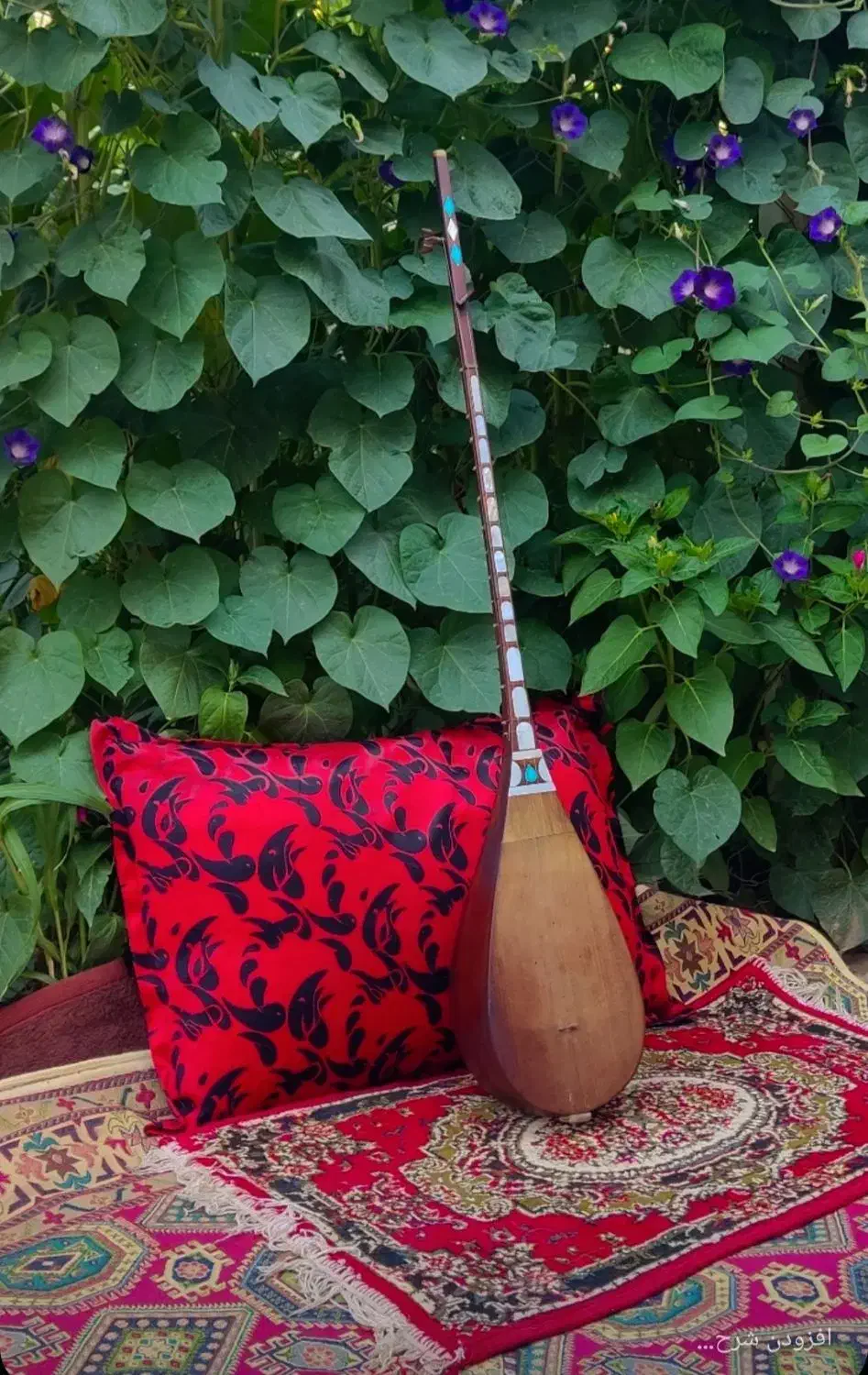 دوتار حرفه ای فروشی|سازهای سنتی|اسفراین, |دیوار